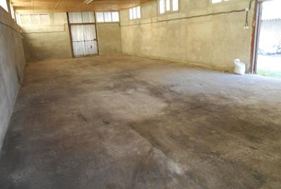 Spațiu comercial, de 250 mp, în Ineu - 4