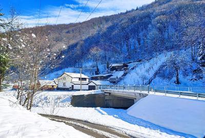 Spațiu comercial, în Tilișca - 5