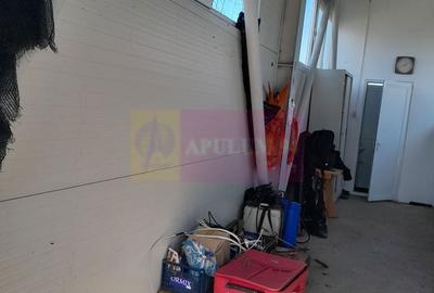 Spațiu comercial, în Roșiori - 18