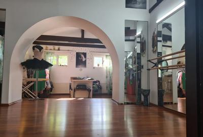 Casă individuală cu 14 camere cu Canalizare în Basarabia - 11