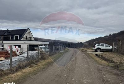 Spațiu comercial, în Tăuți - 11