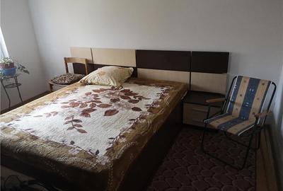 Casă cu Teren 5060 Mp în Vispești - 5