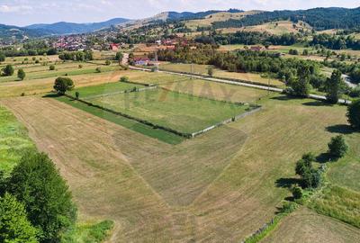 Teren Manastirea Humorului / Strada Principala 22,238 MP - 12