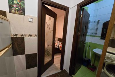 Garsonieră semidecomandată în Valea Rosie - 4