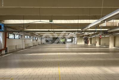 Spațiu industrial, de 6,000 mp, în Iris - 2