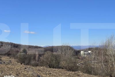 Teren de 4000 mp, în Făget - 7