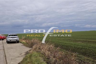 Teren de 4200 mp, în Corbu - 3