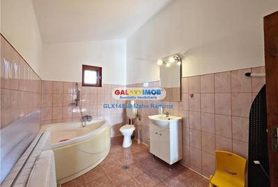 Casa individuala (P+1+M), Balotesti, Martha Bibescu - 25