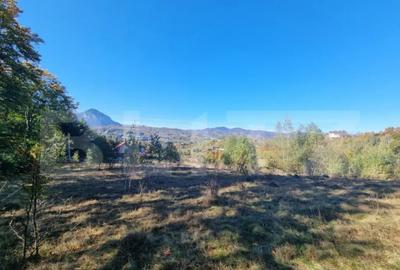 Teren de 2346 mp, în Poiana Mărului - 2