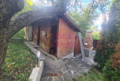Casa de vanzare in Breaza - Zona Capul Campului - 37