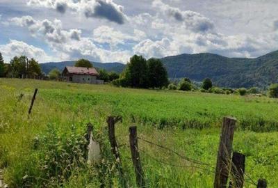 Teren de 3382 mp, în Viișoara - 5