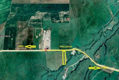 Teren intravilan la DN 73 iesire din Rasnov spre Bran - 2