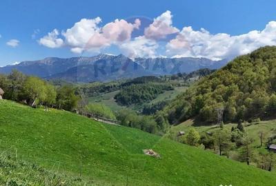 Teren în Moieciu - 4