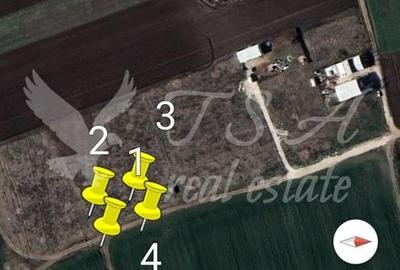 Teren Intravilan 825mp Cu dubla deschidere si Drum de servitute, Dascalu  Ilfov - 15