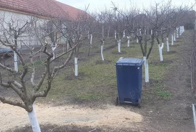 Teren de 966 mp, în Păuca - 3