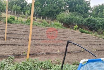 Casă cu Teren 1711 Mp în Topraisar - 2