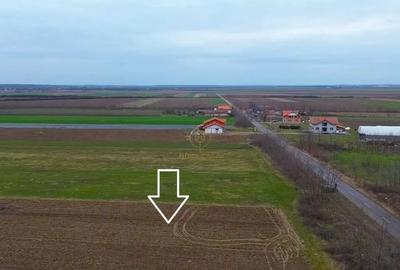 Teren în Medieșu Aurit - 2