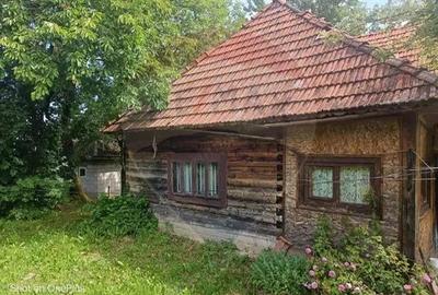 Casă cu 3 camere cu Teren 5472 Mp în Breb - 6