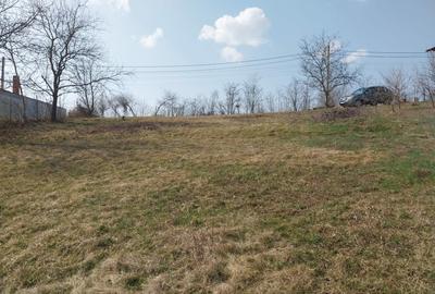 Casă individuală cu 4 camere cu Teren 2500 Mp în Copou - 8