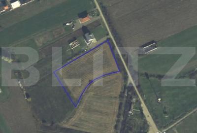 Teren de 7020 mp, în Vetiș - 1