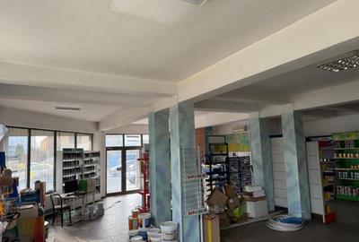 Spațiu comercial, de 840 mp, în Brestei - 16