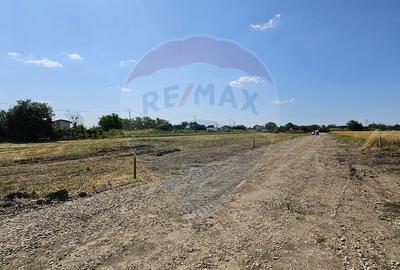 Teren de 490 mp, în Frumușani