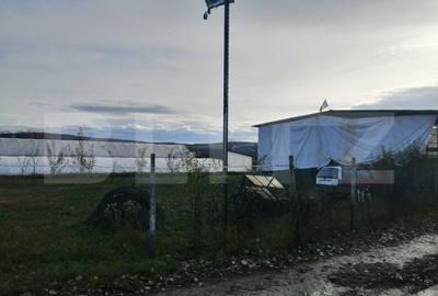 Teren 14.000 mp, zona Drambar - Ciugud - 1