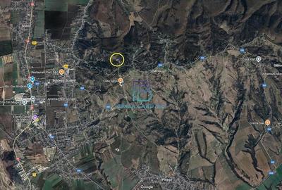Teren de 3007 mp, în Seciu