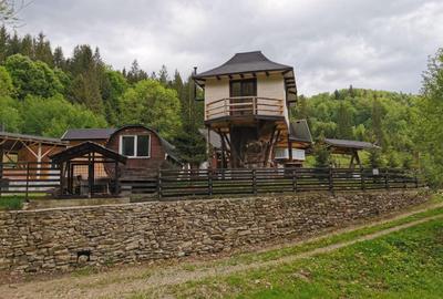 Casă individuală cu 8 camere cu Canalizare în Molid - 5