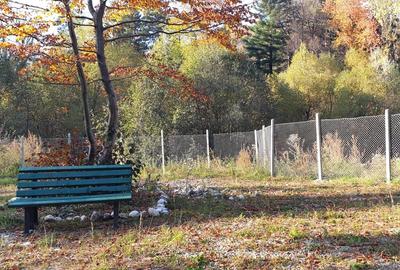 Teren rezidential Bunloc zona de case - 4