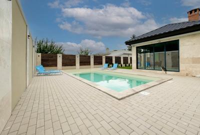 Casa deosebita 4 camere, cu piscina si crama - 15