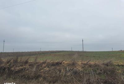 Spațiu comercial, în Albești - 3