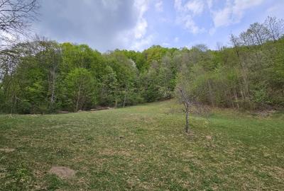 Teren intravilan 1454 mp la marginea padurii zona locuita de case!