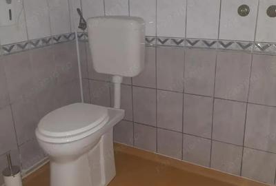 Ofer la inchiriere SAD zona centrala Balcescu-Rusu Sireanu, P+1+M, 200 mp utili, 10 camere + 4 bai - 10