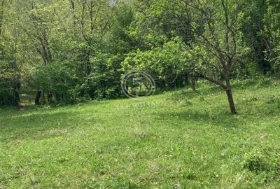 Izvoarele Valea Borului- Teren Intravilan de Vanzare- Comision 0% - 6