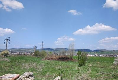 Spațiu comercial, în Gilău - 4