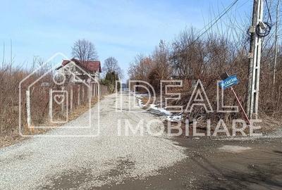 Teren de 25500 mp, în Porumbacu de Jos - 3