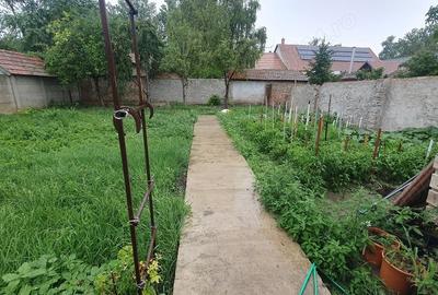 Casă cu 2 camere cu Teren 1000 Mp în Central - 5