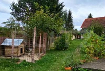 Casa deosebita, 3000 mp teren, 6 camere zona linistita - Bar - 5