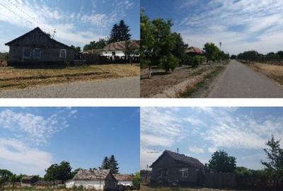 Cota de 1/2 din casa si teren Loc. Beba Veche jud. Timis, - 2