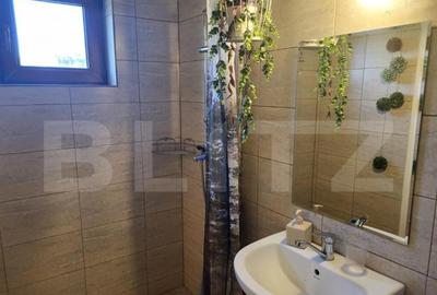 Pensiune moderna 2 margarete , statiunea Paltinis , Sibiu Pensiune moderna 2 margarete , statiunea Paltinis , Sibiu - 4