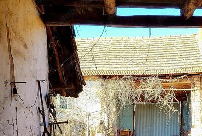 Casă cu 3 camere cu Teren 1384 Mp în Forotic - 6