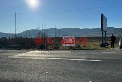 Teren 1250 mp. DN 17 Crainimat - 1