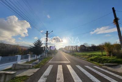 Teren 11.939 mp Balane?ti ideal reziden?ial/comercia - 3