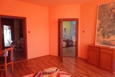 ViLA de LUX  cu un DESIGN deosebit in centrul orasului Nadlac - 10