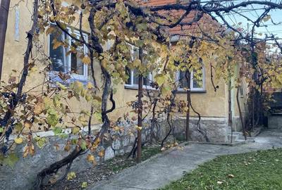 Casa de vanzare in Vadu Crisului - 7