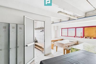 Hală de producție, cu birouri și teren, în Sebiș - 30