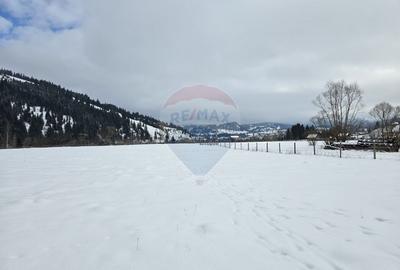 Teren de 13650 mp, în Dorna-Arini
