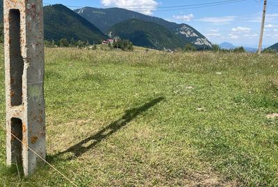 Teren de Vânzare în Peștera - 2000 mp cu Priveliste Impresionantă - 6