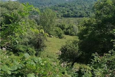 Teren Construcții intravilan de 11230 mp, în Breaza de Sus - 3